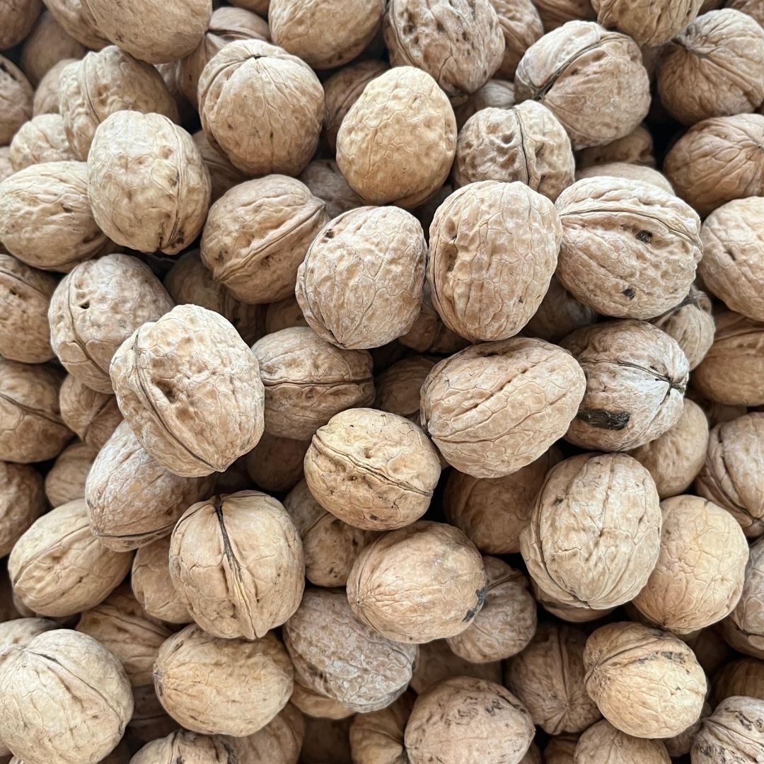 Kabuklu Ceviz 2 Kabuklu Ceviz - Görsel 2